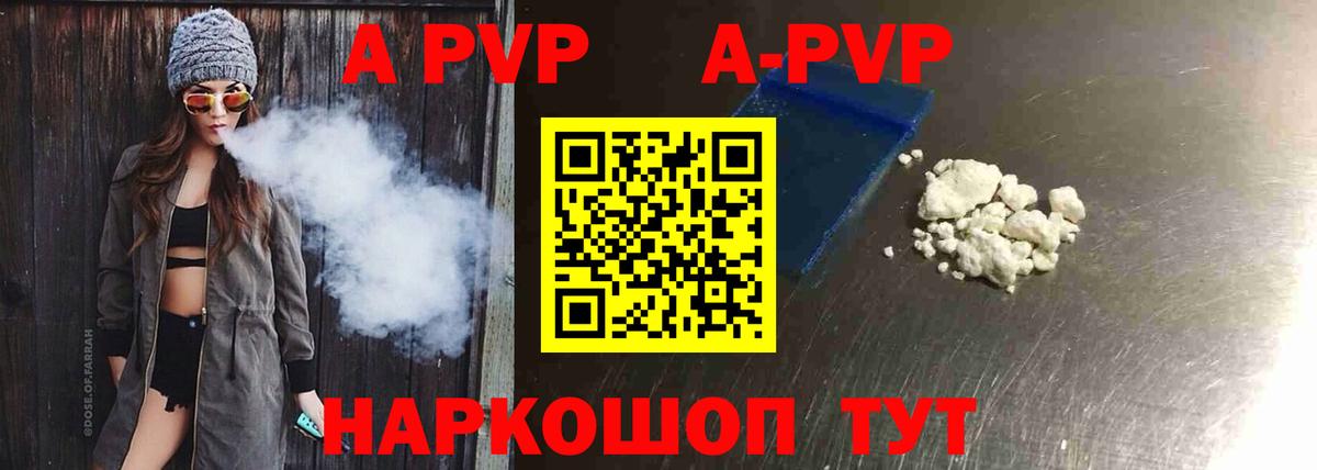 A-PVP СК Новочеркасск
